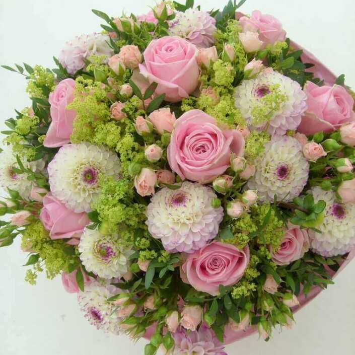 Rosa Sommerblumen