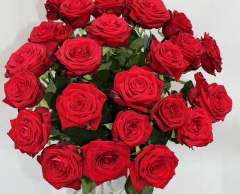 Rote Rosen 1 Rote Rosen in Düsseldorf verschicken