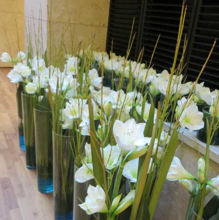 Bodenvasenfüllung mit weißen Amaryllis B - Blüten