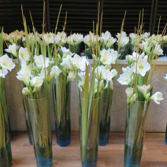 Bodenvasenfüllung mit weißen Amaryllis - Blüten