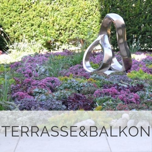 Terrasse und Balkon Bepflanzungen Düsseldorf