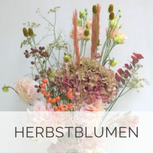 Pflanzen und Bepflanzungen in Düsseldorf - Blumen Lehmann